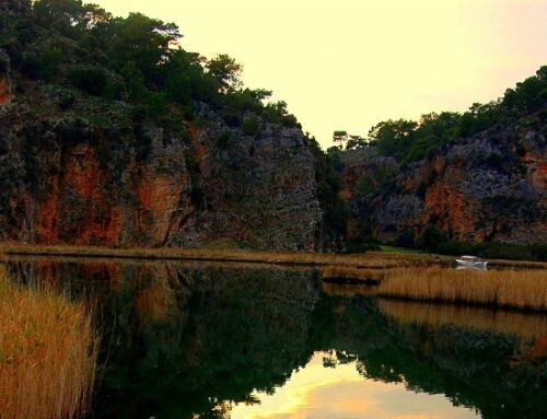 Dalyan Kanalı Tekne Turu